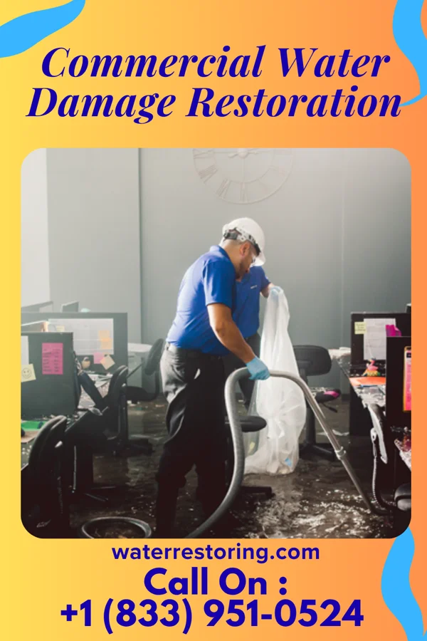 Commercial Water Damage Restoration in Conning Towers Nautilus Park, CT