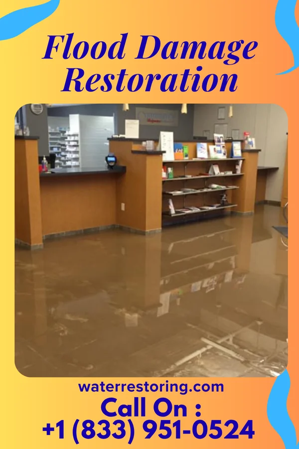 Flood Damage Restoration in Conning Towers Nautilus Park, CT