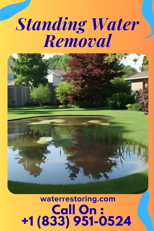 Standing Water Removal in Conning Towers Nautilus Park, CT